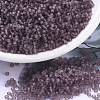 MIYUKI Round Rocailles Beads X-SEED-G007-RR0142F-1