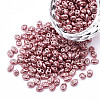Dyed Opaque Colours Glass Seed Beads SEED-N004-007-04-1