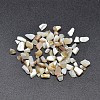 Dyed Natural Freshwater Shell Chips Beads SHEL-O001-17B-1