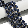 Natural Sodalite Beads Strands G-N342-37-2