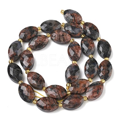 Natural Red Labradorite Beads Strands G-A295-A02-01-1