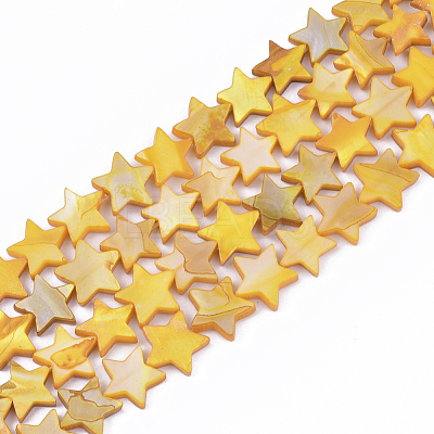 Freshwater Shell Beads Strands SHEL-S276-31-1