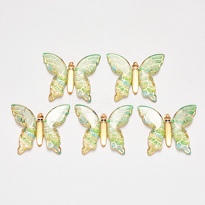 Transparent Acrylic Pendants TACR-R140-06H-1