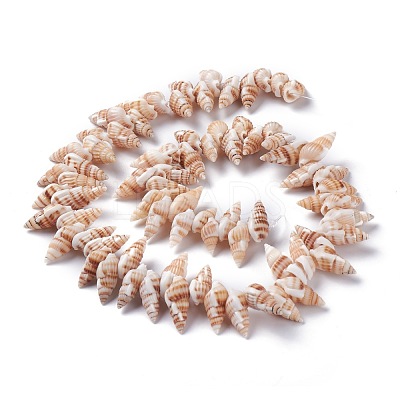 Natural Spiral Shell Beads Strands BSHE-I016-08-1