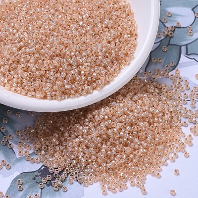 MIYUKI Round Rocailles Beads X-SEED-G007-RR0580-1