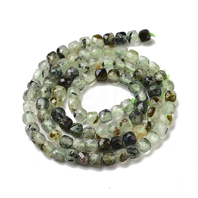Natural Prehnite Beads Strands G-B088-E16-04-1