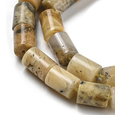 Natural Crazy Lace Agate Beads Strands G-Q1008-A08-1