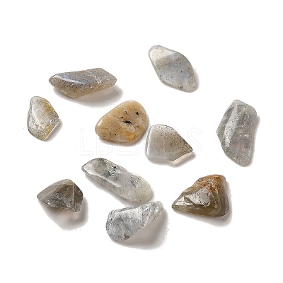 Natural Labradorite Beads G-O103-33-1
