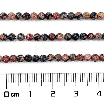 Natural Leopard Skin Jasper Beads Strands G-M438-A02-01-1