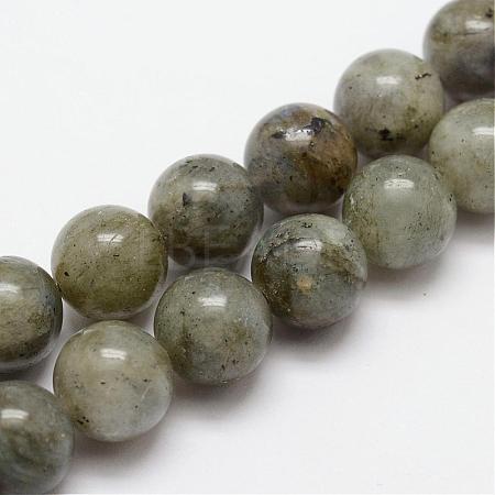 Natural Labradorite Bead Strands G-O155-05A-8mm-1