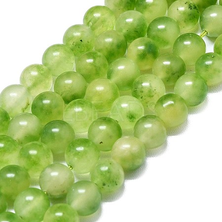 Natural Malaysia Jade Beads Strands G-L645-C01-8mm-31-1