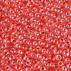 FGB Glass Seed Beads SEED-Q040-08A-08-3