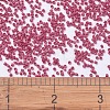 MIYUKI Delica Beads SEED-JP0008-DB0362-4