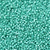 MIYUKI Delica Beads SEED-X0054-DB0627-3