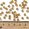 Glass Seed Beads SEED-H002-A-A622-3