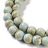 Natural Rainbow Alashan Agate Beads Strands G-NH0022-A01-01-4