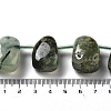 Natural Prehnite Beads Strands G-P528-E13-01-4