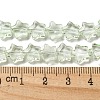 Baking Paint Transparent Glass Beads Strands DGLA-A07-T8mm-KD06-4