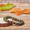Natural Dragon Blood Jasper Bead Strands G-OC0001-18-4