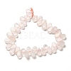 Natural Rose Quartz Beads Strands G-B064-B30-3