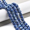 Dyed Natural Sesame Jasper Beads Strands G-C179-B02-01-2