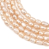 Natural Cultured Freshwater Pearl Beads Strands PEAR-D003-01D-08-4