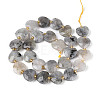 Natural Labradorite Beads Strands G-P592-B14-01-3