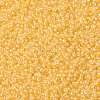 MIYUKI Round Rocailles Beads SEED-G008-RR0202-3