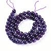 Natural Lepidolite/Purple Mica Stone Beads Strands G-D0020-16-10mm-2