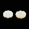 Natural Freshwater Shell Beads X-SHEL-T007-02-5