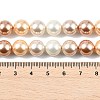 Round Shell Pearl Beads Strands BSHE-XCP0001-20-4