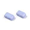2-Hole Baking Paint Glass Seed Beads SEED-S031-M-SH494FR-3