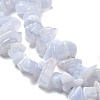 Natural Blue Lace Agate Chip Beads Strands X-G-E271-73-01-3