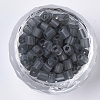 6/0 Transparent Glass Seed Beads SEED-S027-04B-09-2
