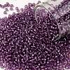 TOHO Round Seed Beads SEED-JPTR11-2219-1