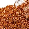 TOHO 11/0 Round Beads X-SEED-TR11-PF0562-1