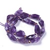 Natural Amethyst Beads Strands G-L492-16-3