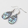 Teardrop Platinum Tone Brass Natural Paua Shell Dangle Earrings EJEW-M060-02-01-2