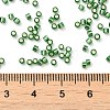 Glass Seed Beads X-SEED-S042-04B-26-4