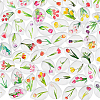 1Set Glass Cabochons GGLA-PH0001-65E-1