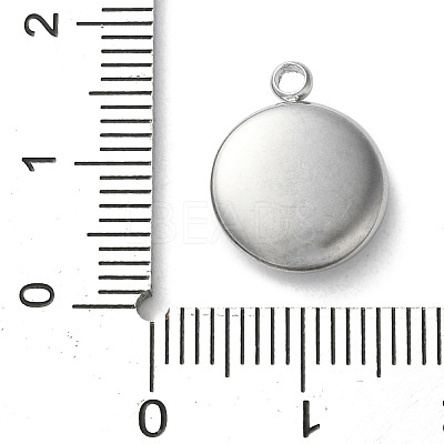 304 Stainless Steel Acrylic Pendants STAS-M091-02A-P-1