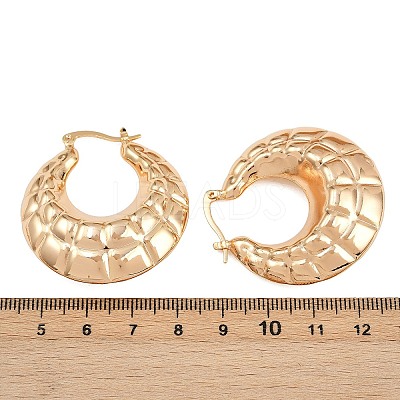Brass Hoop Earrings EJEW-H168-07G-1