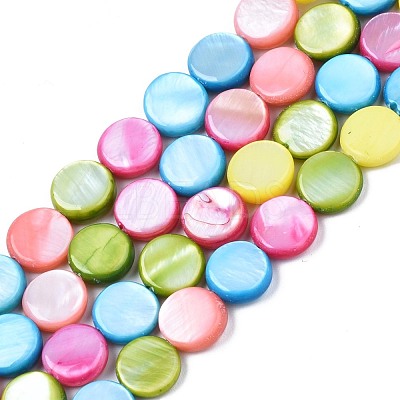 Freshwater Shell Beads Strands SHEL-T009-B16-06-1