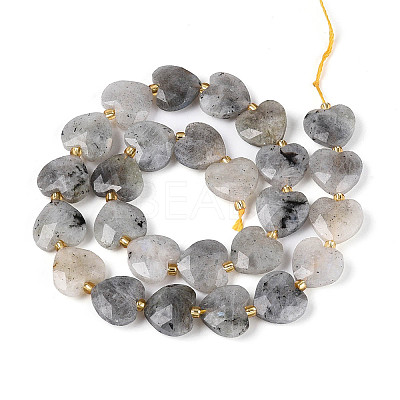 Natural Labradorite Beads Strands G-P592-B14-01-1