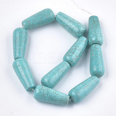 Natural Howlite Beads Strands TURQ-T003-09-1