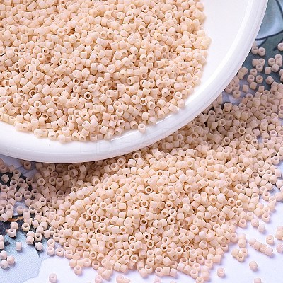MIYUKI Delica Beads SEED-J020-DB0354-1