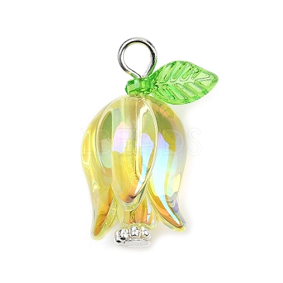 Acrylic Pendants X-PALLOY-JF03534-02-1