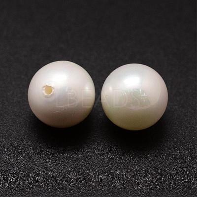 Shell Pearl Beads BSHE-L031-01-14mm-1