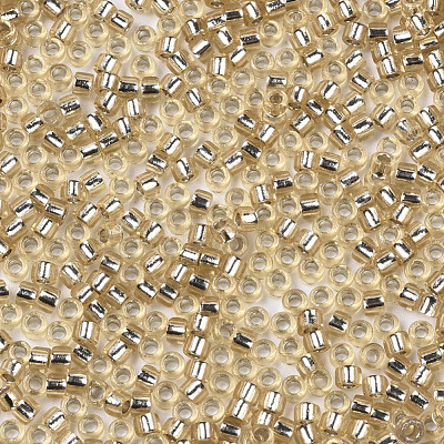 Glass Seed Beads SEED-S042-04A-05-1