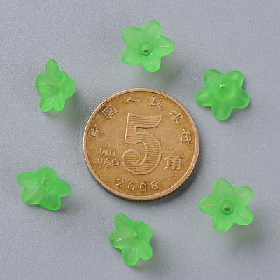 Transparent Acrylic Beads PL554-13-1